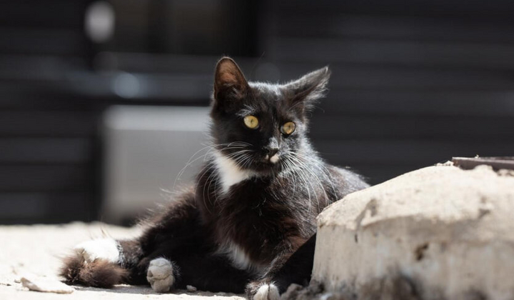 Погода в Украине: похолодание, дожди, ветер