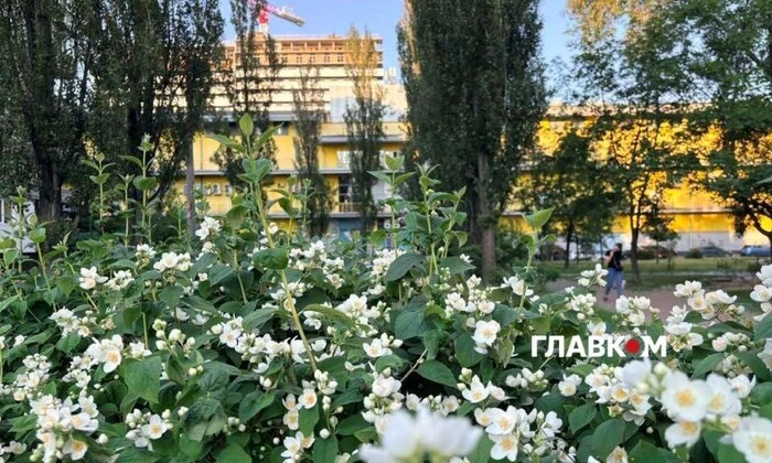 Weather forecast for Kyiv and region