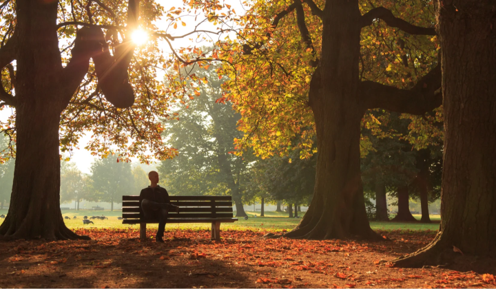 Emotional loneliness and depression