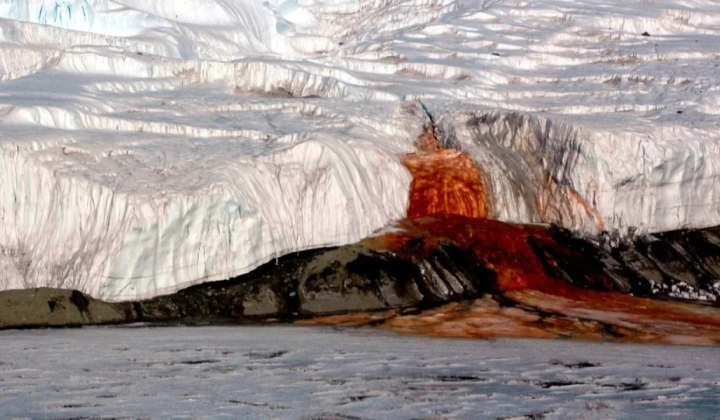 Sunlight-free bacteria in Antarctica