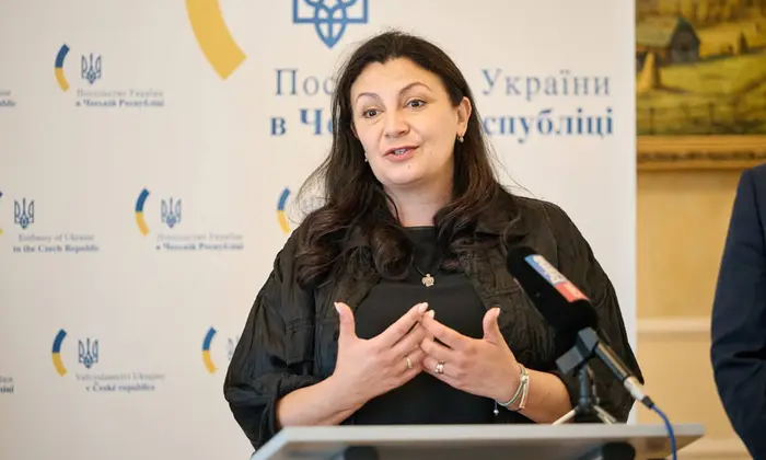 Два голови комітетів піддалися тискам