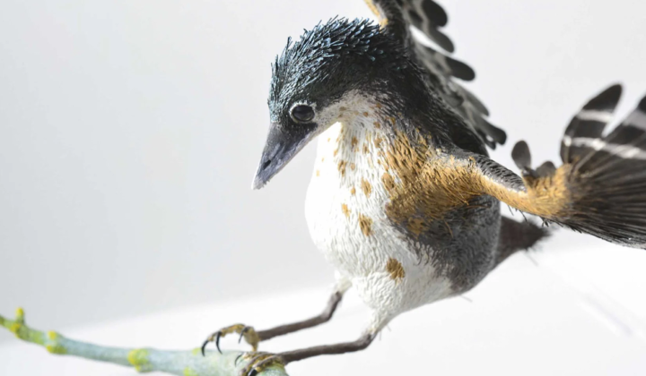 Reconstructing Concornis lacustris: A Prehistoric Bird from 125 Million Years Ago