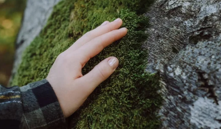 Contact with nature strengthens immunity and skin