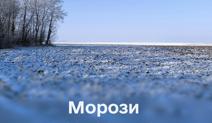 Посіви озимих культур в Україні
