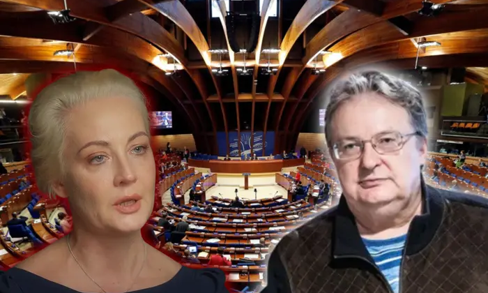 PACE created a Platform for dialogue with the Russians
