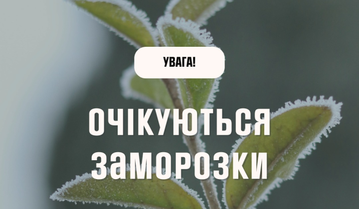 Заморозки на поверхности почвы