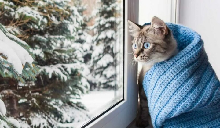 Графическое изображение погоды в Украине