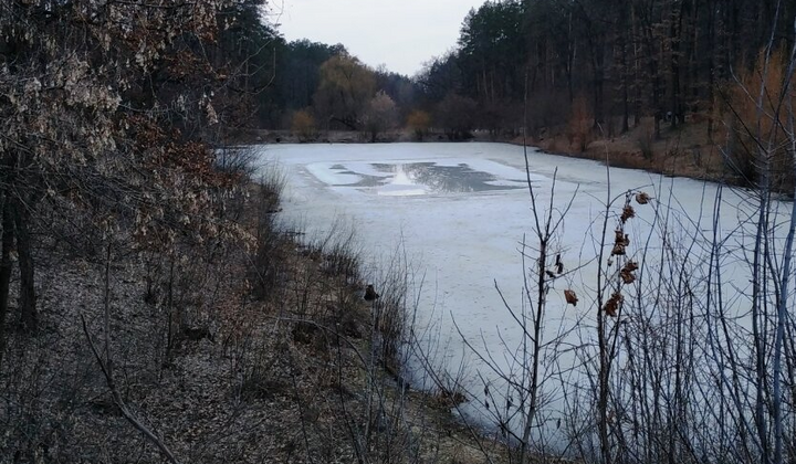 Морози до -12 заміняться потеплінням: Діденко назвала дату