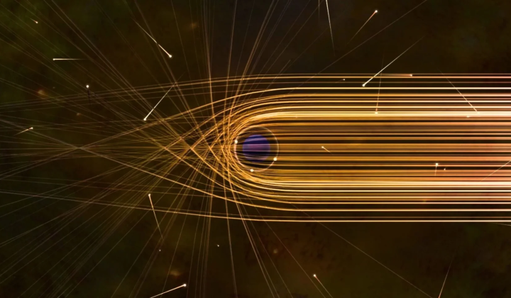 Two scenarios of evolution of hairy black holes