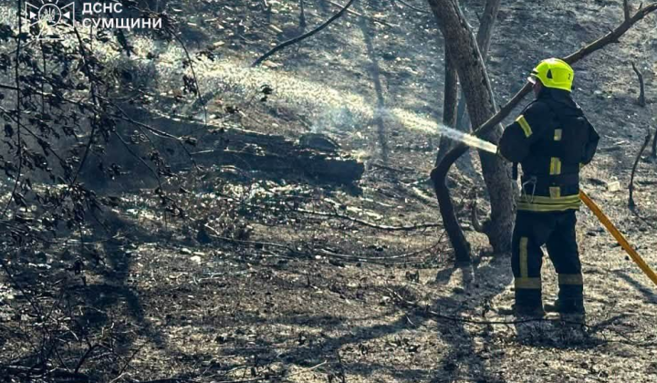 Разрушенные дома и погибшие люди