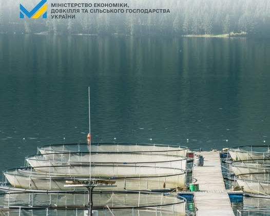 Компенсація витрат на розведення риби