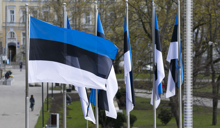 Украинские беженцы в Эстонии