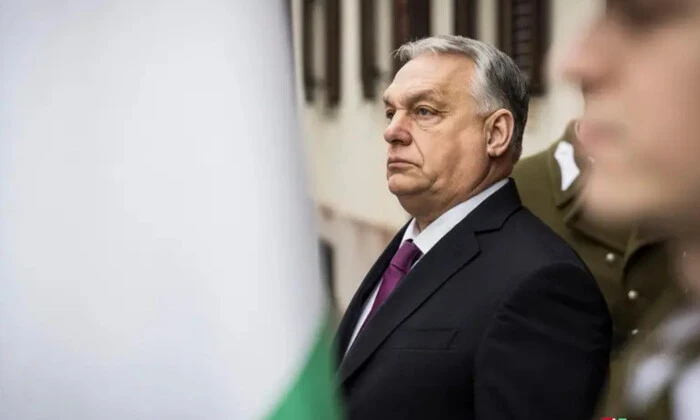 Patriots support Orban after defeat