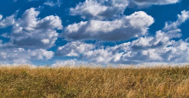 Прогнозовані +26 градусів 12 серпня