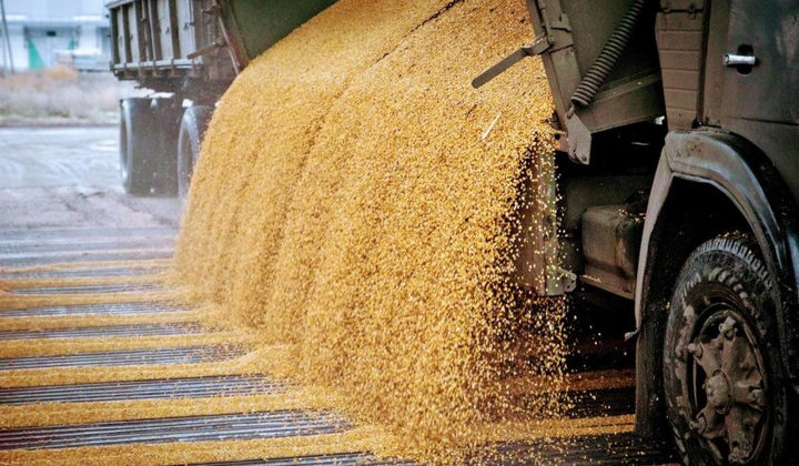 Зростання ціни на українську агропродукцію