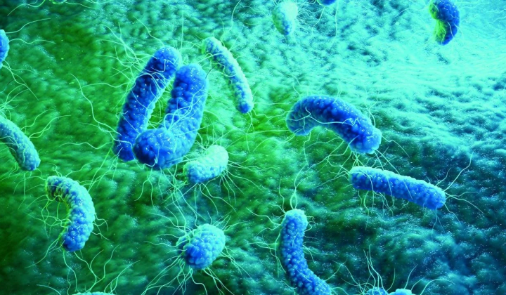 Risk of infections from increased sugar consumption