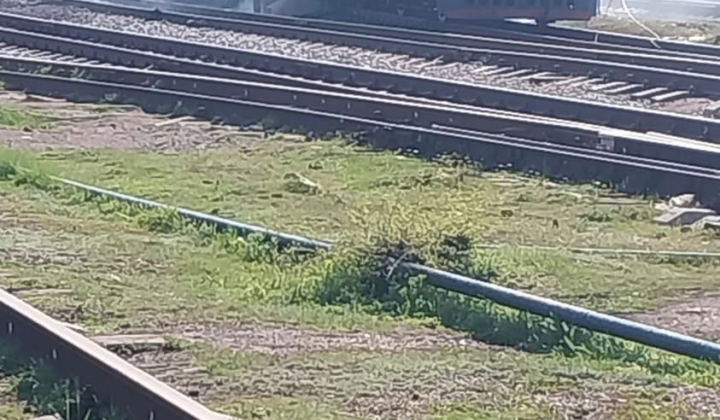 Emergency assistance to train passengers