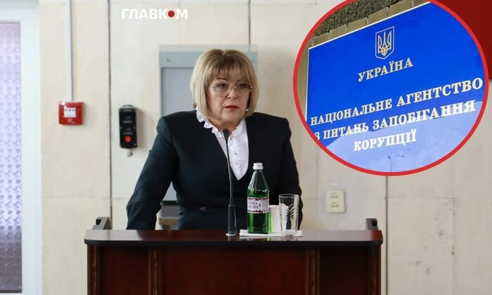 Перевірка декларації ексголови МСЕК