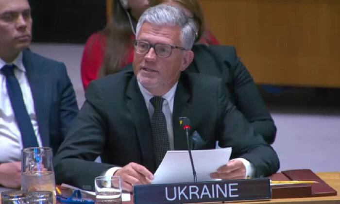 Melnik speaks at emergency UN Security Council meeting