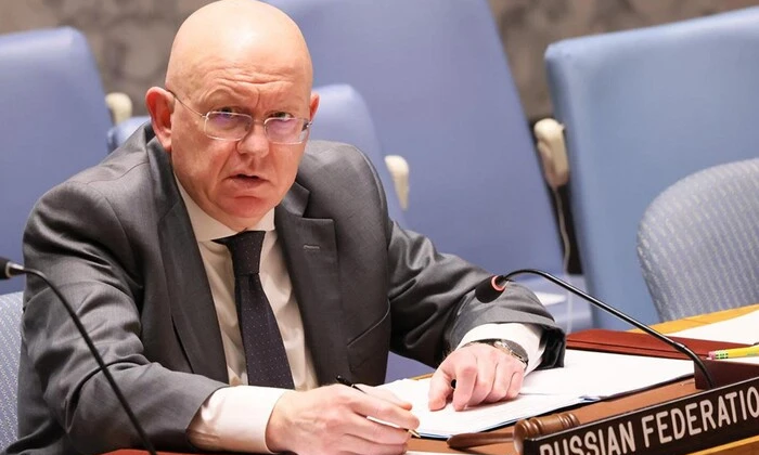 Russian UN envoy made statement