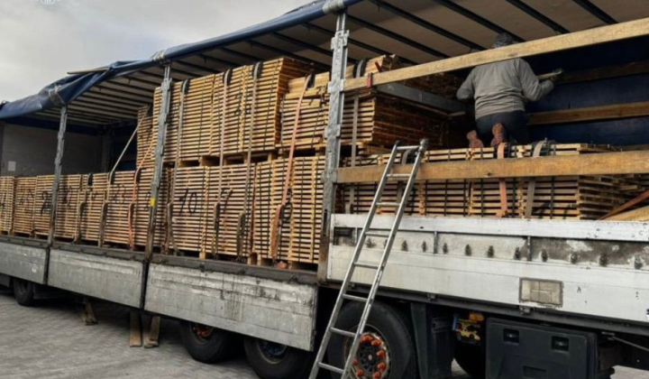 Дубовий ліс в контрабанді у Києві