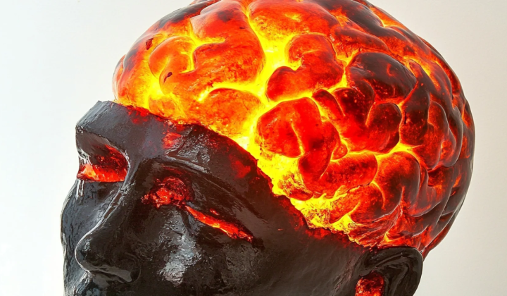 Fossilized brain of Vesuvius victim