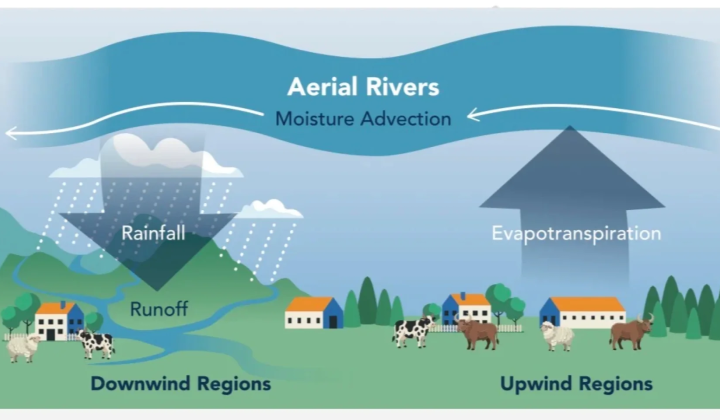 Deforestation Warning Follows New Aerial-River Map, Scientists Say