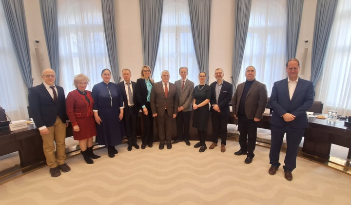 Конституционные суды Украины и Чехии
