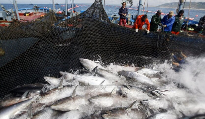 Україна вступила в Генеральну комісію з рибальства