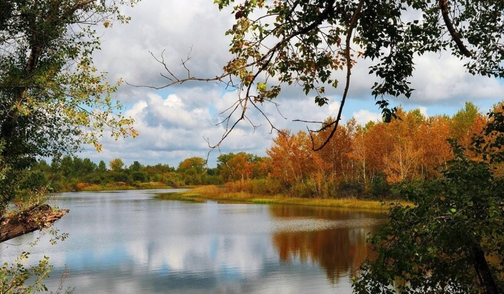 Погода українською мовою