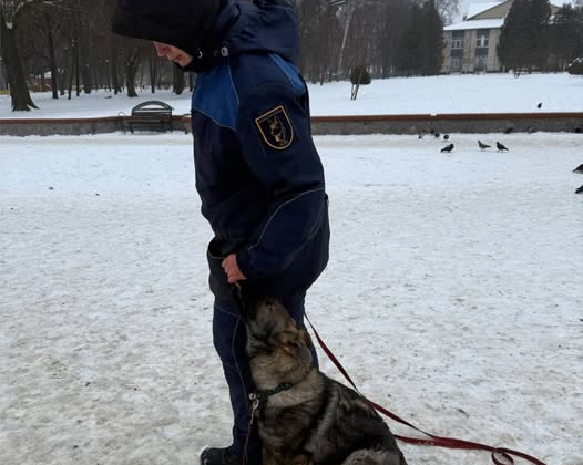 Перші випробування рятувальних цуценят ДСНС
