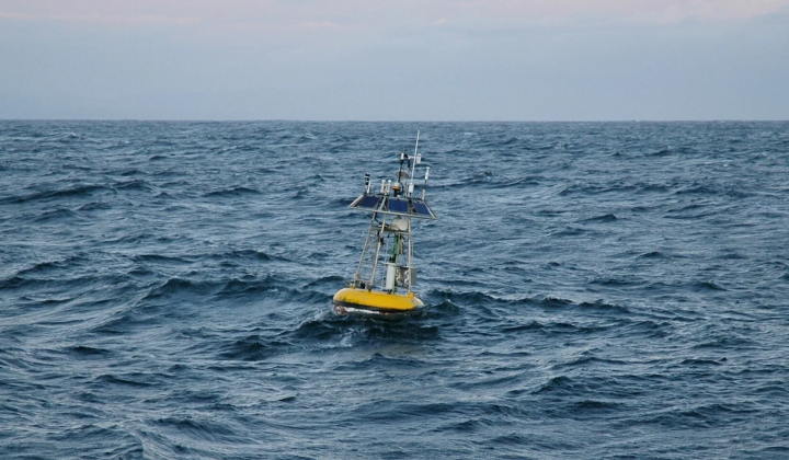 Monterey Bay’s Ecosystem Transformed by Unprecedented 2026–2027 El Niño Warmth