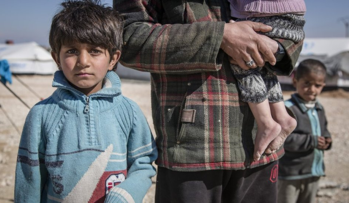 Фото лісу кордону Польщі та Білорусі