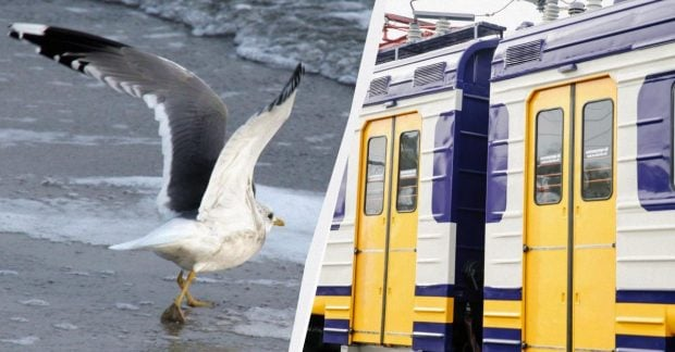 New Ukrzaliznytsia train from Odesa to the sea