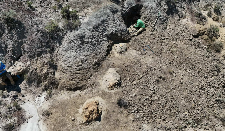 Tyrannosaurus rex footprints in North Dakota