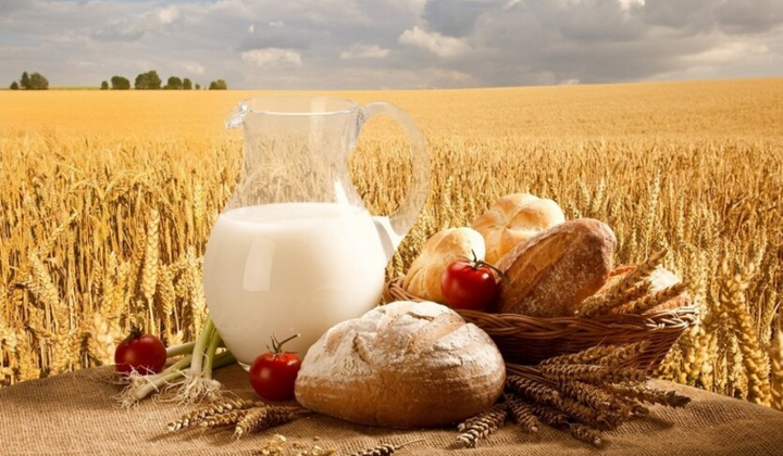 Ціни на продукти в червні: де купити олію, хліб та молоко