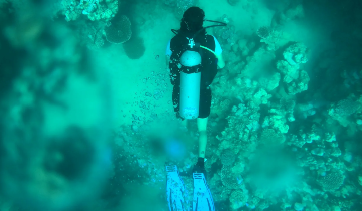 Microbes without oxygen accumulate metals