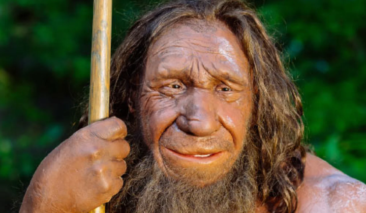 Influence of Neanderthal genes on humans