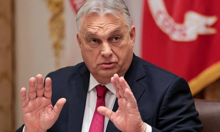IT-фахівець розповідає про допомогу в кібератаках