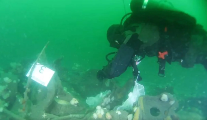 TNT in the North Sea