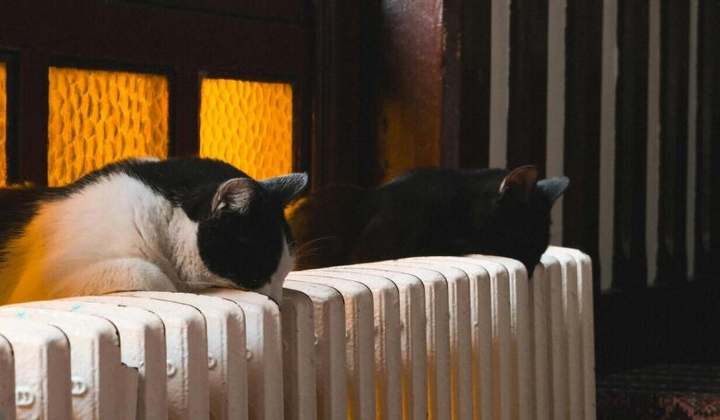 Тарифи на Опалювальний сезон 2025