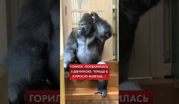 Обманутое видео после ссоры в Японии