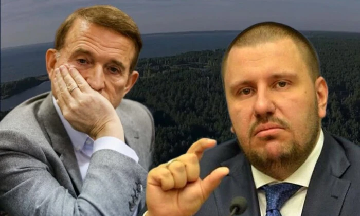 Повернутий ліс під Києвом