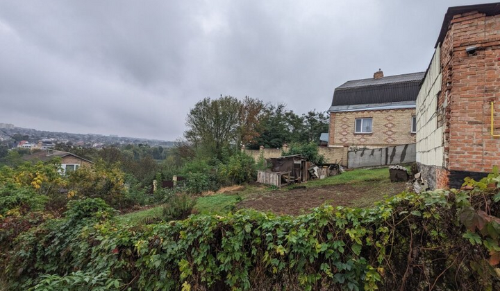 До 6 видів дерев у чорному списку