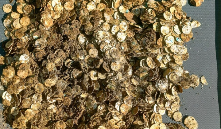 Largest Viking treasure found in Finland