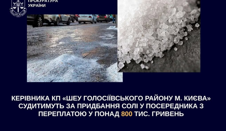 Head of Holosiivskyi district on trial
