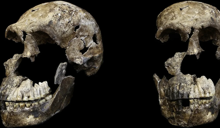 Поховання Homo naledi в ПАР