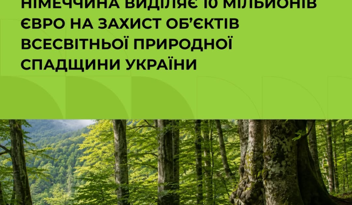 Німеччина підтримує букові праліси