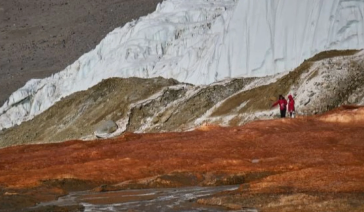 Microorganisms Under the Blood Waterfall