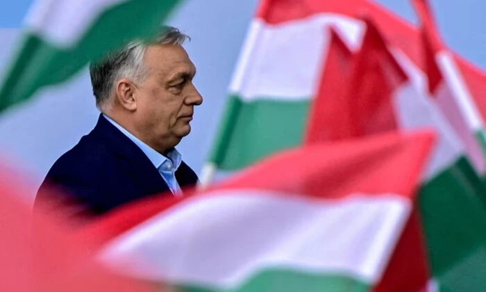 Orban remains head of Fidesz after defeat